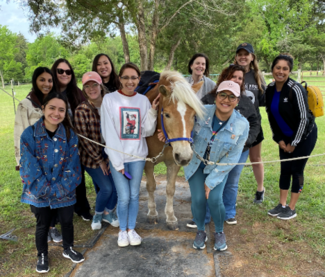 A group of students with a horse learning about hippotherapy