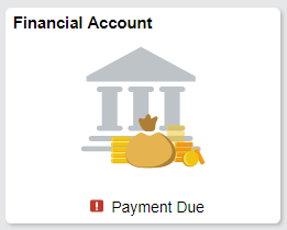 Financial Account