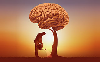 image of a man watering a tree, whose foliage is a brain representing growing knowledge