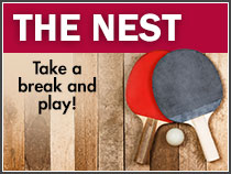 The Nest: Take a break and play!