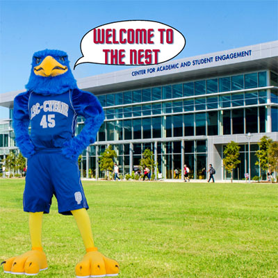 Welcome to the Nest