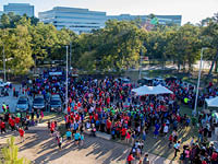 Heart Walk Crowd