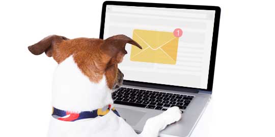 email