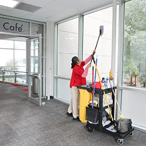 Custodian cleaning a window