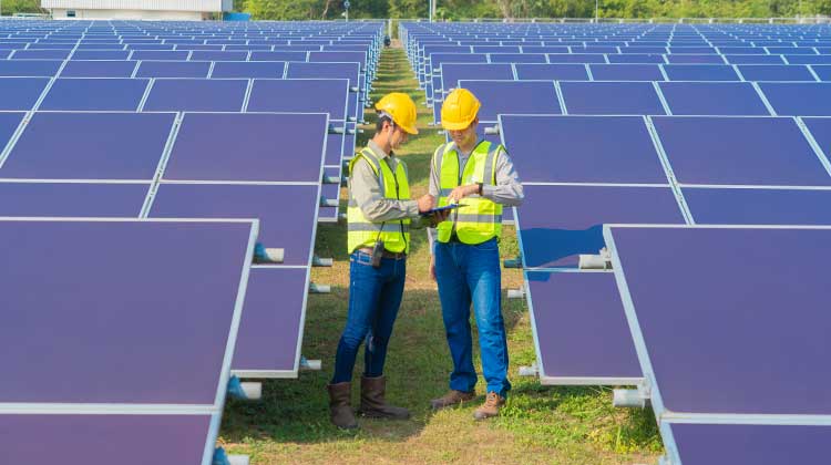 Two workers with hard hats in a field of solar panels