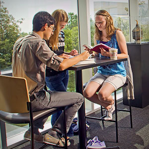 3 Students Studying