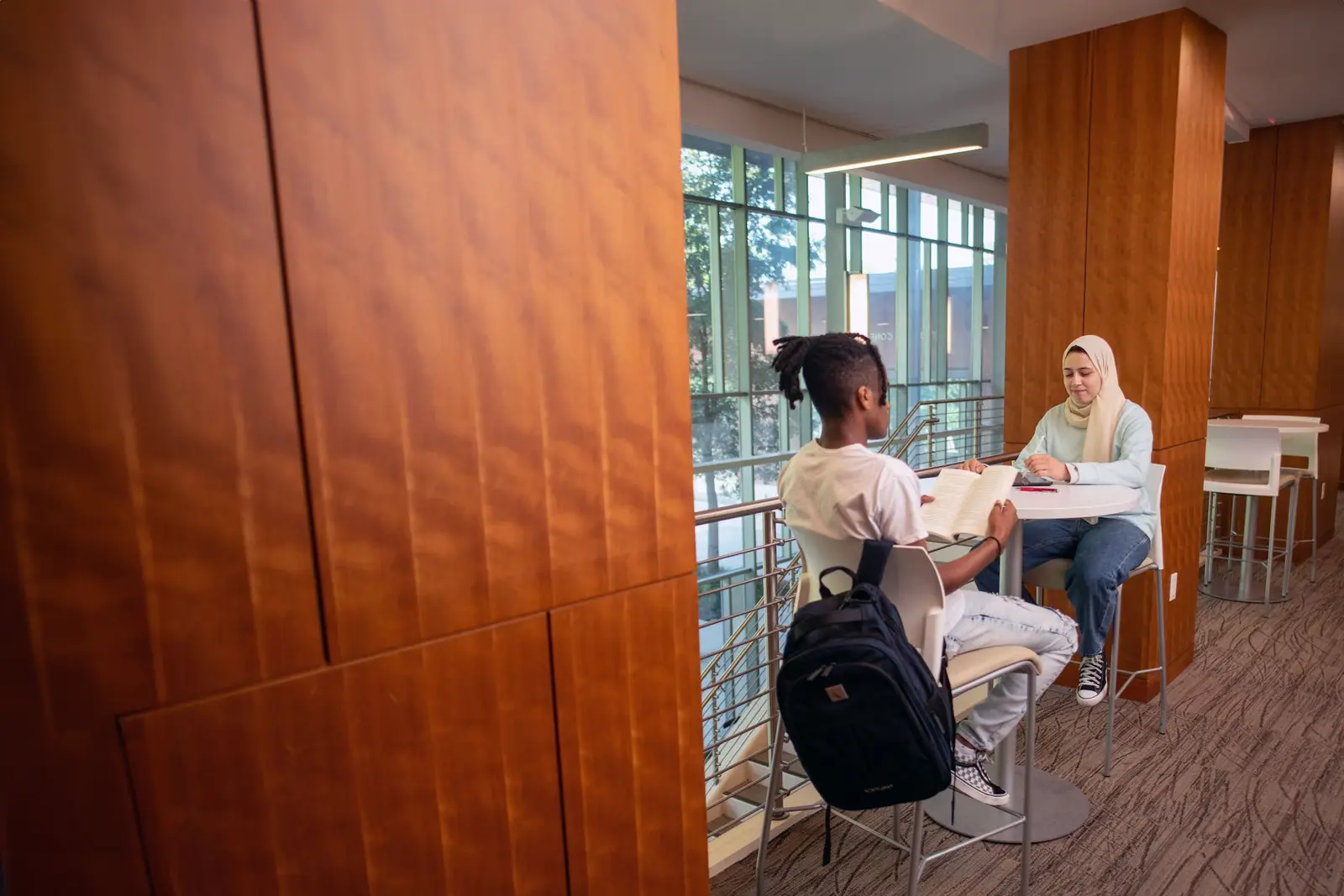 Two college students studying