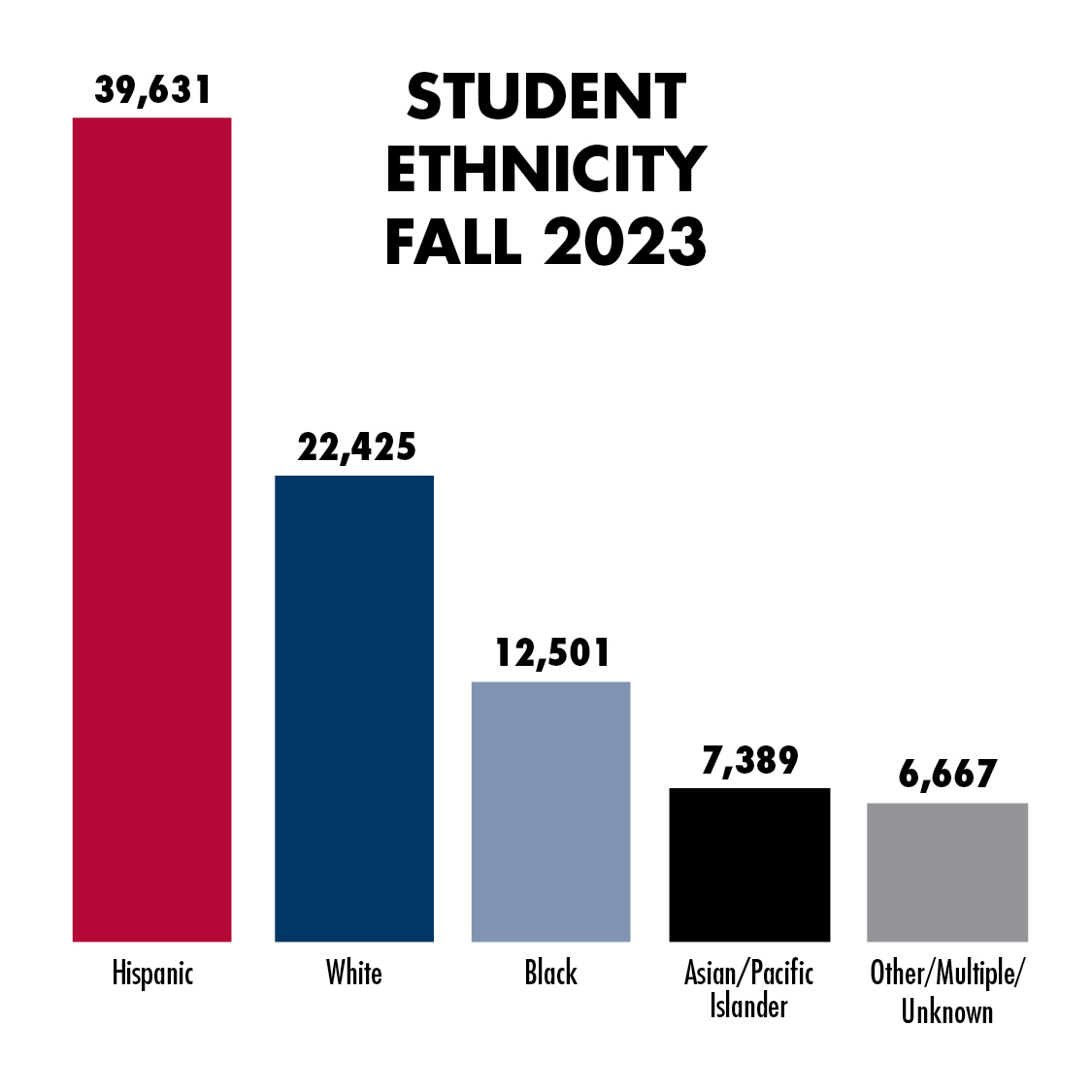 Student ethnicity graph fall 2023