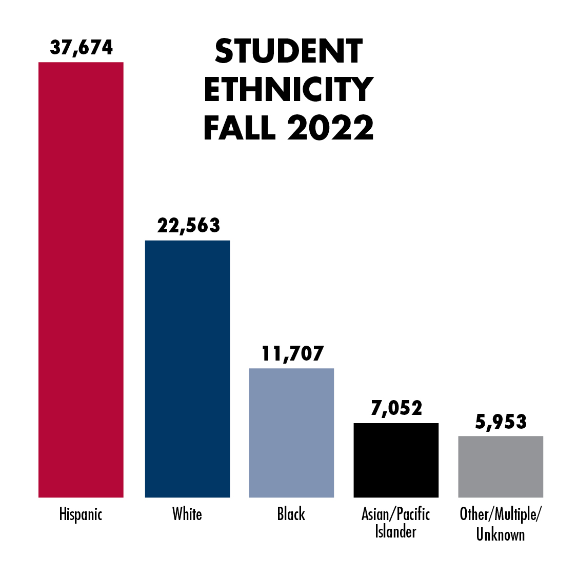Student ethnicity graph fall 2022