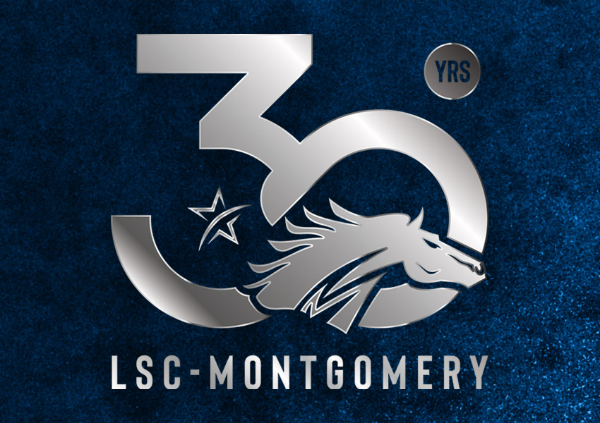 30 Years Celebrations