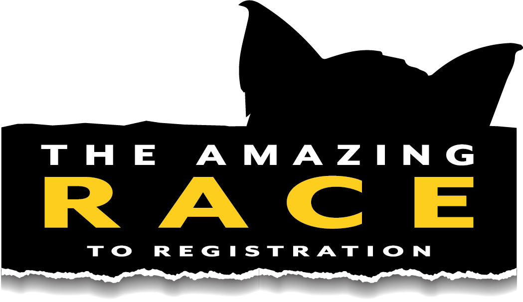 Amazing Race