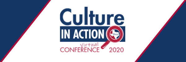 Culture in Action Banner