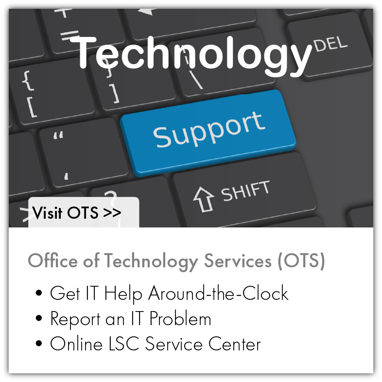 Get IT Help Around-the-Clock, Report an IT Problem, and Online LSC Service Center.