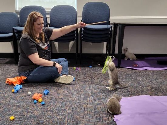 Lone Star College-CyFair Library Director Melanie Wachsmann enjoys some feline fun at a Cat Yoga Summer Reading Program.