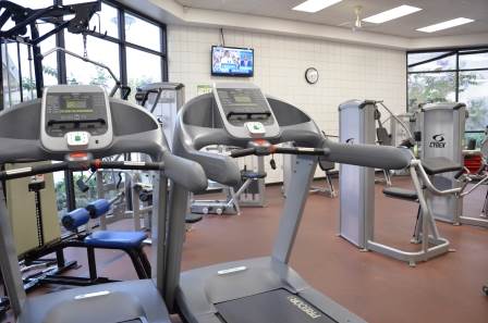 Photo of workout equipment located inside the weight room