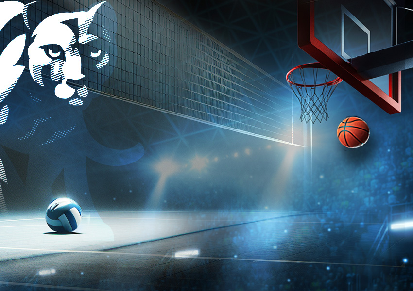 RecSports_Image
