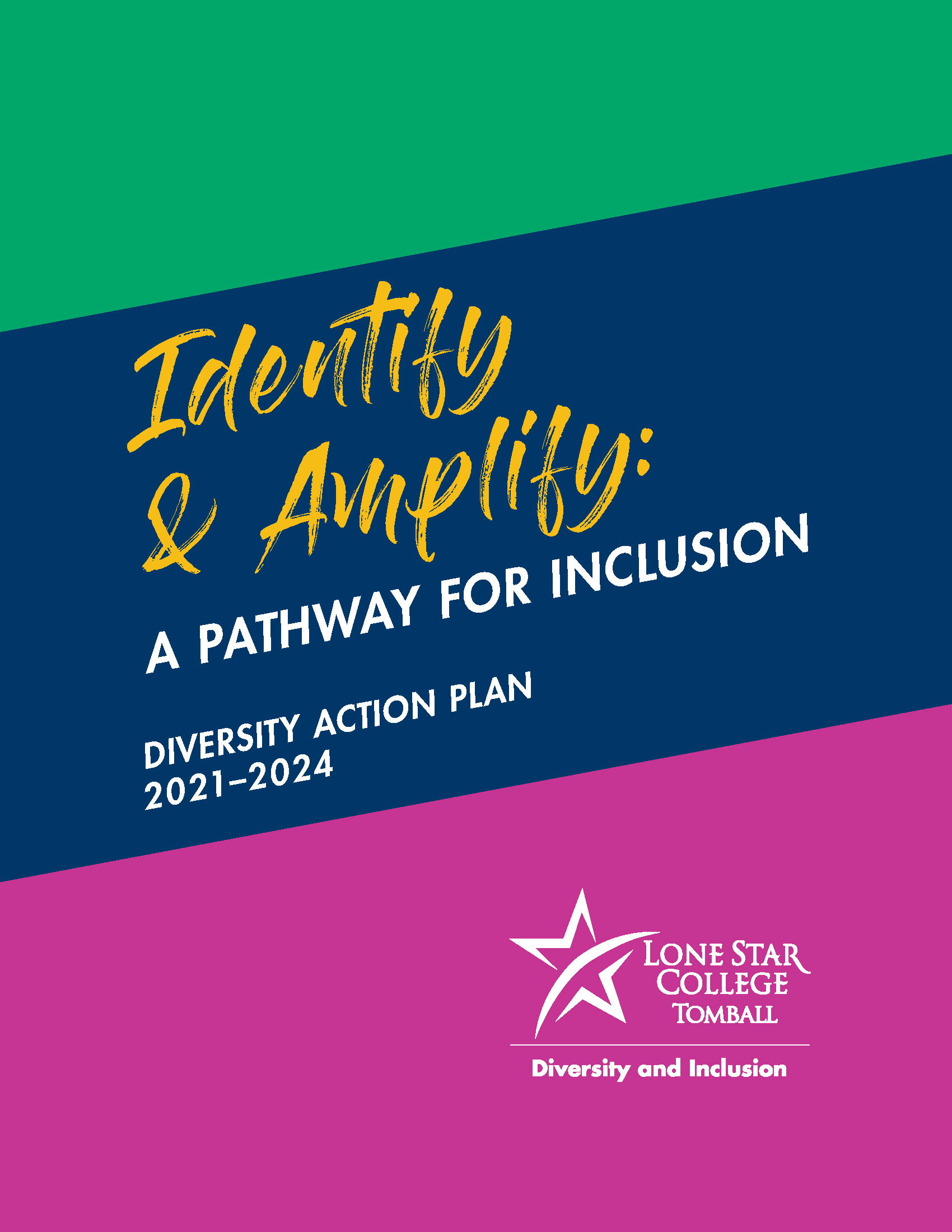 Identify & Amplify: A Pathway for Inclusion -- Diversity Action Plan 2021-2024
