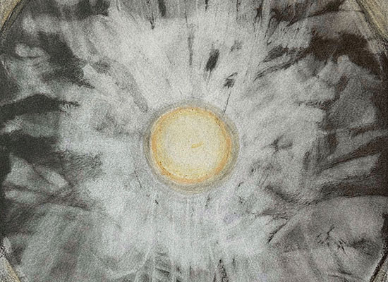 close up of "Milky Moon Bloom" art