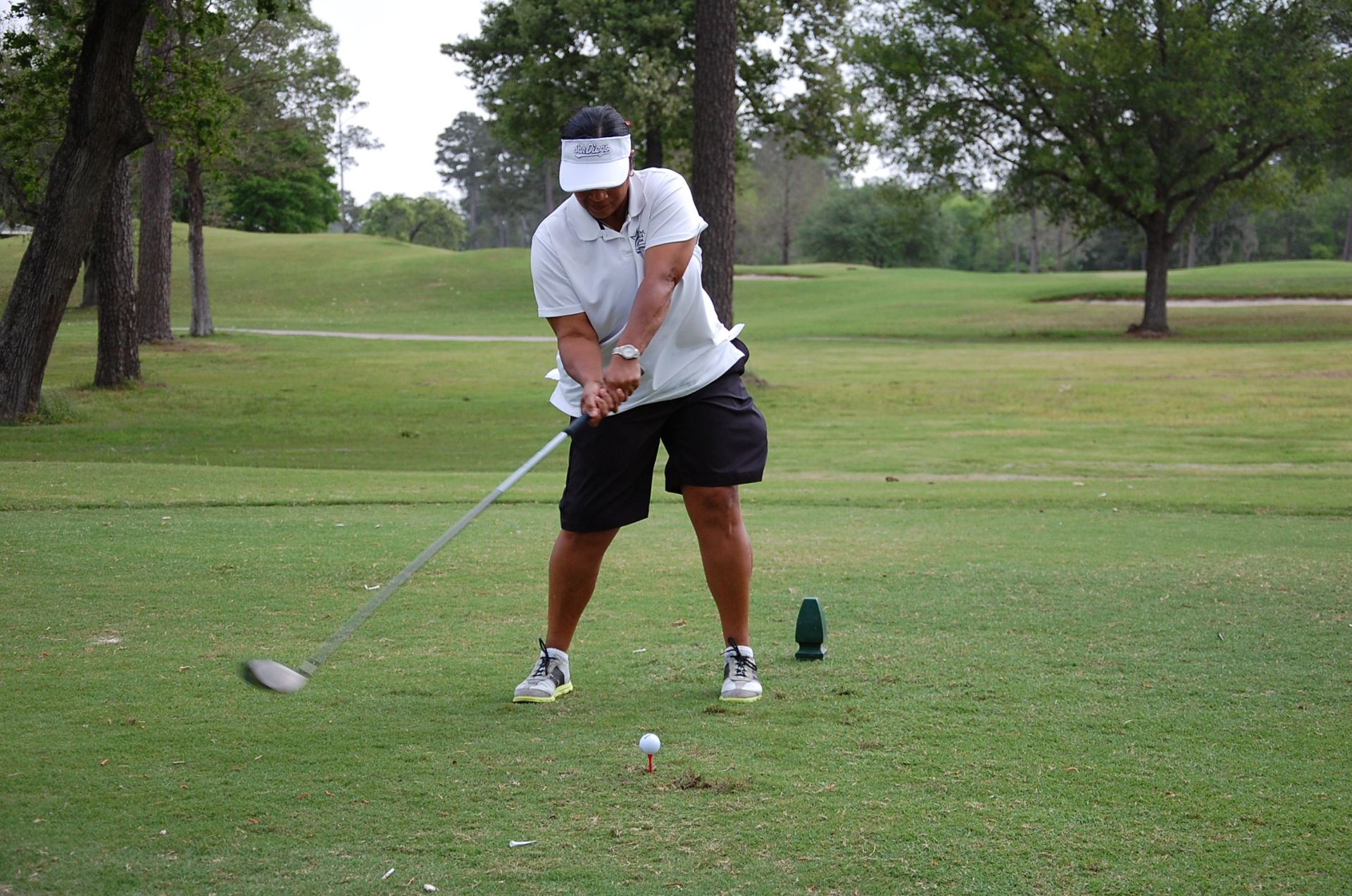 Photo of LSC-NH Staff playing golf