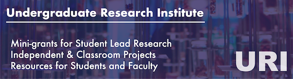 Undergraduate Research Institute
