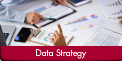 Data Strategy (Photo of a work table with various printed data reports, a laptop, mobile phone, and tablet. Hands reach into view, pointing to charts and graphs. "Data Strategy" appears in a red bar along the bottom of the image.)