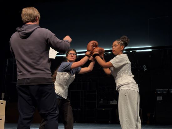 two boxers in training