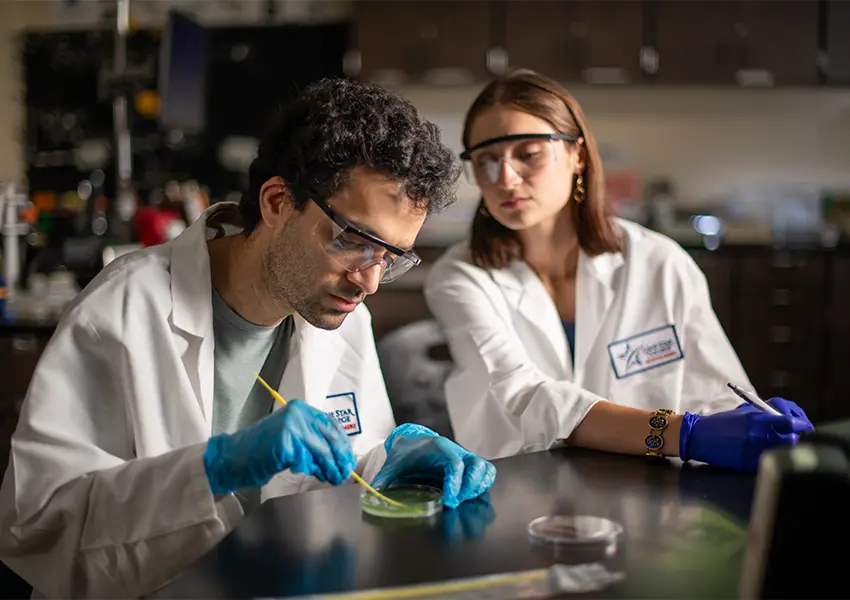 2 students in a lab looking at a petri dish