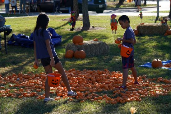 Cy-Fest's free family-friendly community celebration Oct. 7 features a pumpkin patch.